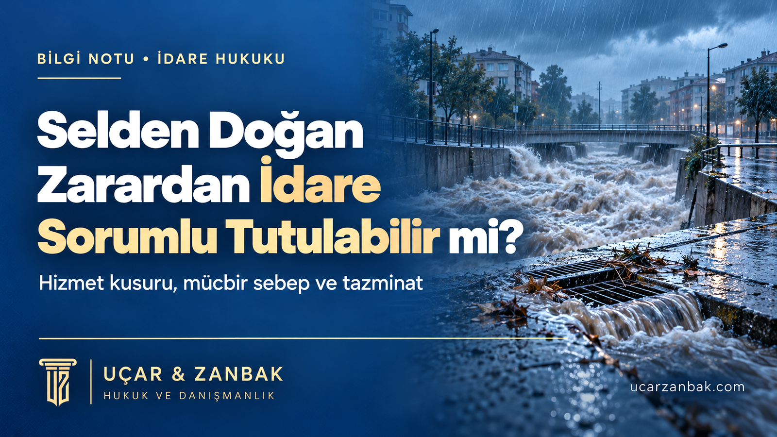 Selden Doğan Zarardan İdare Sorumlu Tutulabilir mi?